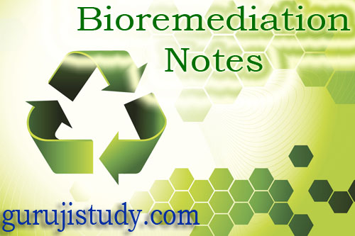 BSc Microbiology Bioremediation Notes Study Material